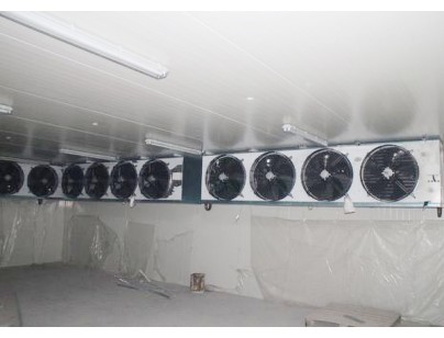 寧波市鎮海綠安農場配送速凍庫工程建造方案