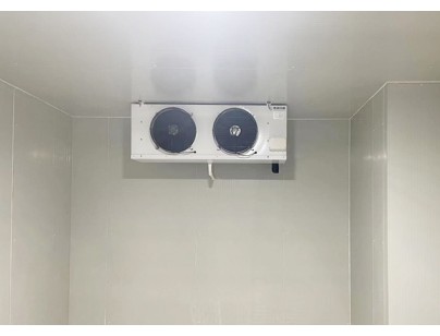 上海疾控中心自動化醫藥陰涼庫工程建造方案