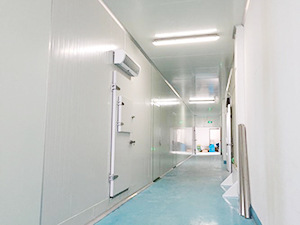 醫藥冷庫穿堂圖片