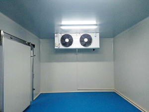 醫藥冷庫工程內部圖片