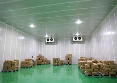 新疆冰容低溫倉儲冷庫出租內景圖