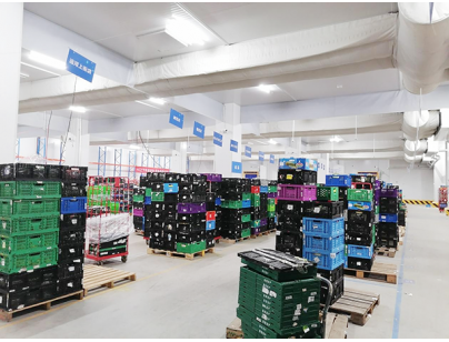 杭州盒馬47408立方米生鮮電商冷庫規劃設計工程項目