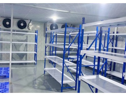 生生物流20000m3三方醫藥冷鏈物流冷庫規劃設計工程項目