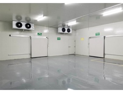 上海佰誠醫療1100㎡藥品陰涼庫（冷藏冷凍庫）新工程案例