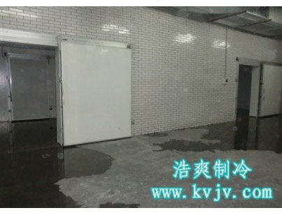 成都環球會展配送中心1000立方大型冷庫工程建造方案