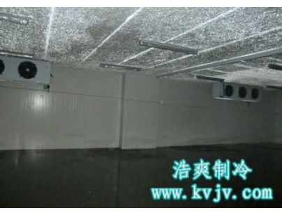 成都環球會展配送中心1000立方大型冷庫工程建造方案