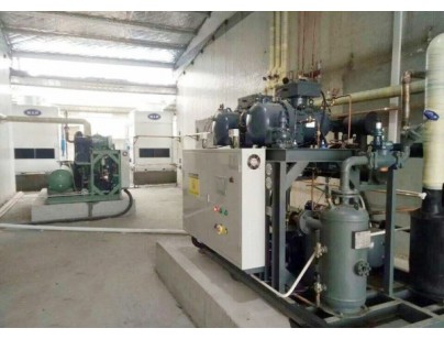 江西省撫州新安實業9000立方米食品雙溫冷庫工程建造案例