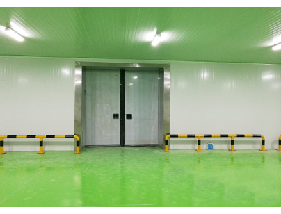 海寧紅獅寶盛科技工業低溫冷凍庫工程建造工程案例