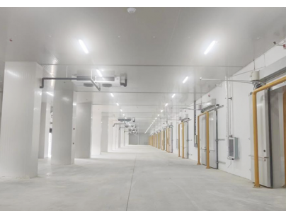 武漢長發永來冷鏈物流現代化高標變溫冷庫規劃設計建造項目