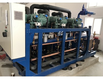 河北周黑鴨食品工業園物流電商食品加工冷庫工程建造方案