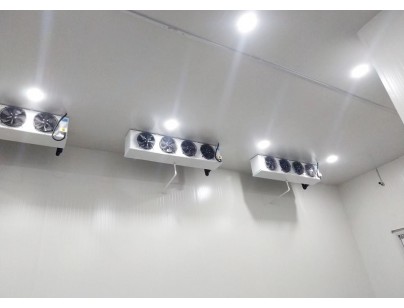 貴州畢節8000立方米果蔬氣調庫工程建造方案