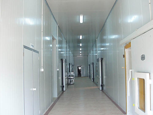 大型冷庫建設(shè)成本需要多少錢一平米？