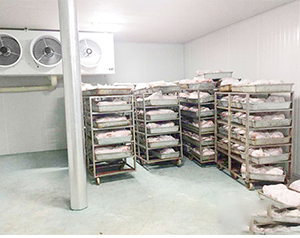 屠宰凍庫造價標準是多少錢一平方？