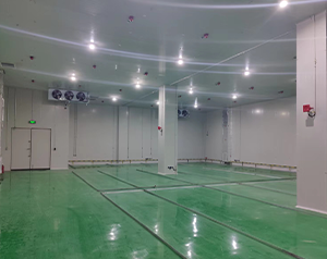 化工防爆冷庫工程施工方案設(shè)計(jì)規(guī)范