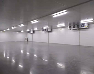 四川醫療器械冷庫公司,試劑庫房的溫濕度控制設備廠家