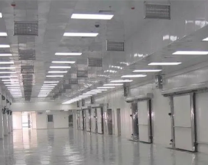 大型冷鏈物流冷庫設計定做冷庫多少錢一平方合適？