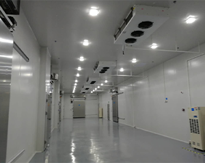 醫藥物流冷凍庫，檢驗科試劑冷庫建設要求標準
