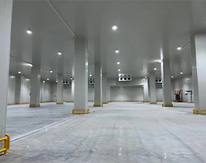 600平多溫醫藥冷庫一平米安裝價格是多少?