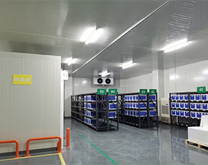 疫苗冷庫建造中的空間規劃和布局要點