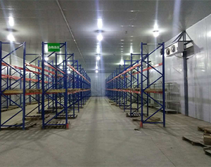 gsp醫藥冷庫(疫苗冷庫)建造多大面積合適