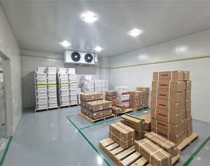 gsp醫藥冷庫(疫苗冷庫)建造多大面積合適