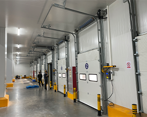 鋰電池冷庫建造成本預估及經濟性評估