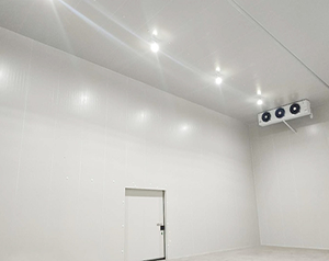 食物冷凍溫度是多少？