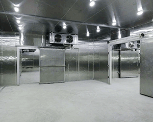 凈化車間冷庫設計規范,潔凈冷庫安裝規范標準要求