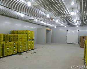 建設一個150平米氣調(diào)庫，大概需要多少資金