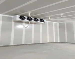 氣調庫儲藏辣椒應該如何進行保鮮？