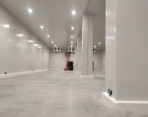 建200噸葡萄恒溫庫大概需要多少錢？葡萄恒溫庫造價(jià)