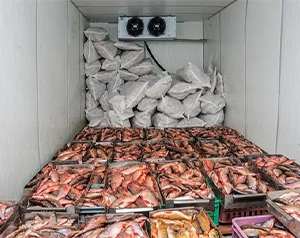 舌尖上的漁業制冷-海鮮、魚類冷庫