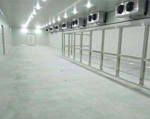 什么是速凍冷庫？速凍冷庫有哪些優(yōu)點？