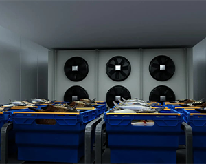 亂世之秋 生鮮電商如何突圍？