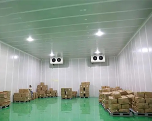 內蒙古4000平綜合物流冷庫安裝多少錢？