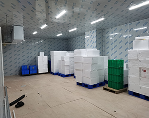 口碑好的專業定做食品冷凍庫哪家好