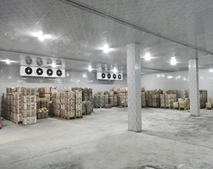 專業定做食品冷凍庫廠家