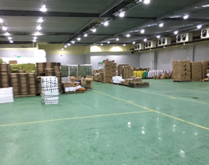 專業定做食品冷凍庫公司