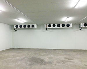 水產冷庫造價標準多少錢？水產海鮮冷庫定制安裝方案