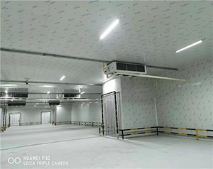 口碑好的專業定做食品廠速凍冷庫安裝電話