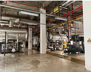 舟山自動化冷庫保養項目有哪些？