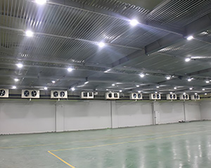 大型冷庫管冷和風冷的區(qū)別