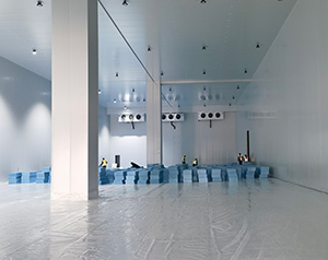 正常情況下國標冷庫建設每平方多少錢？