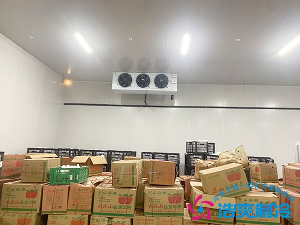 建一個水果冷庫需要多少錢？