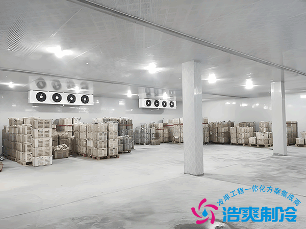 3000平米廠房內建生鮮食品冷凍庫造價需要多少錢？