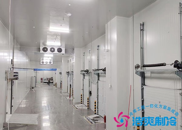 4000平米冷庫設備全套報價