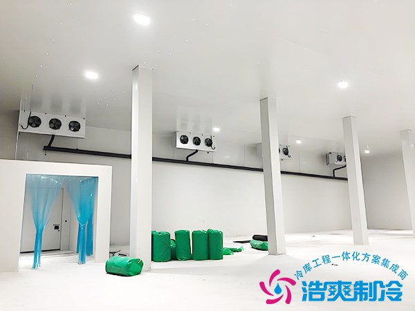 大型智能化冷庫設計方案