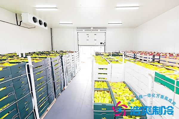 蔬菜保鮮庫費(fèi)用