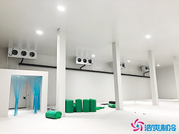 建造萬噸級大型冷庫造價大概多少錢？萬噸冷庫造價影響因素
