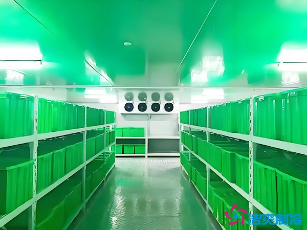 藥品批發企業冷藏庫平方面積要求多少？1000平藥企冷庫造價